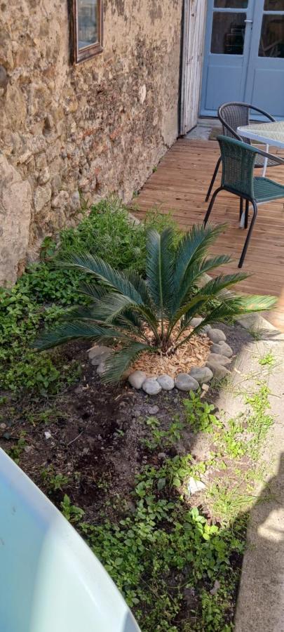 Le 9 De Cour, Chambre Caouette Carcassonne Ngoại thất bức ảnh